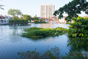 Observatório, parques e meta de carbono: como Fortaleza tenta reagir ao aquecimento global