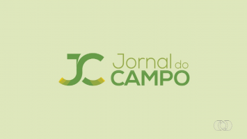 VÍDEOS: Jornal do Campo deste domingo, 5 de outubro de 2025 